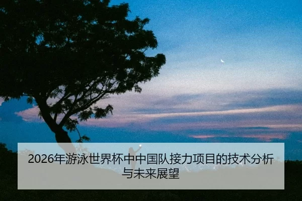 nian-you-yong-shi-jie-bei-zhong-zhong-guo-dui-jie-li-xiang-mu-di-ji-shu-fen-xi-yu-wei-lai-zhan-wang-2-567.jpg