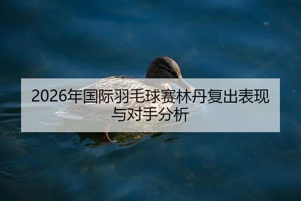 2026年国际羽毛球赛林丹复出表现与对手分析