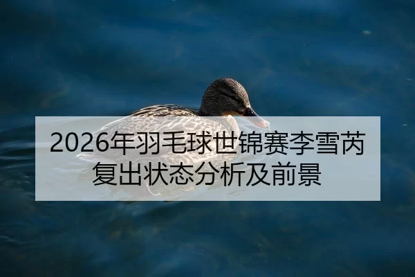 2026年羽毛球世锦赛李雪芮复出状态分析及前景