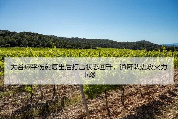 大谷翔平伤愈复出后打击状态回升，道奇队进攻火力重燃